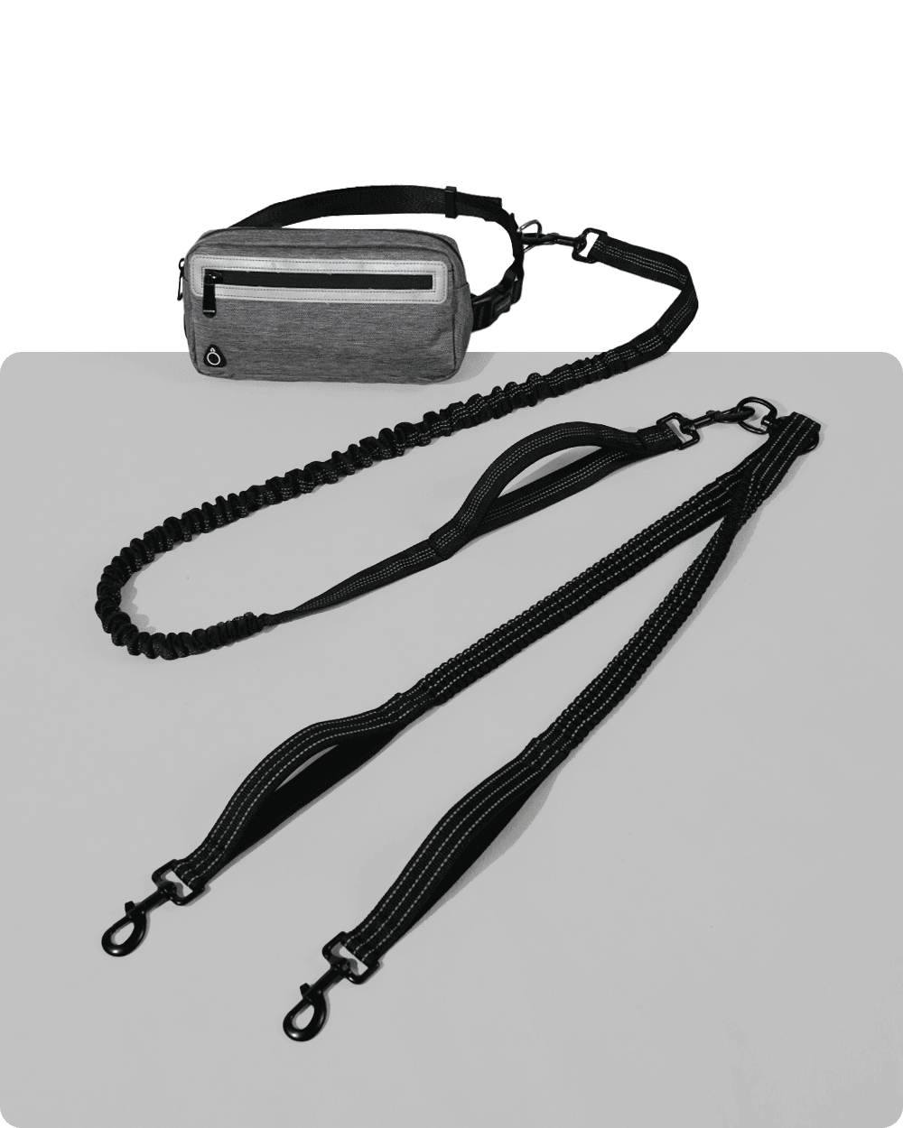 Hands-Free Double Dog Leash with Pouch