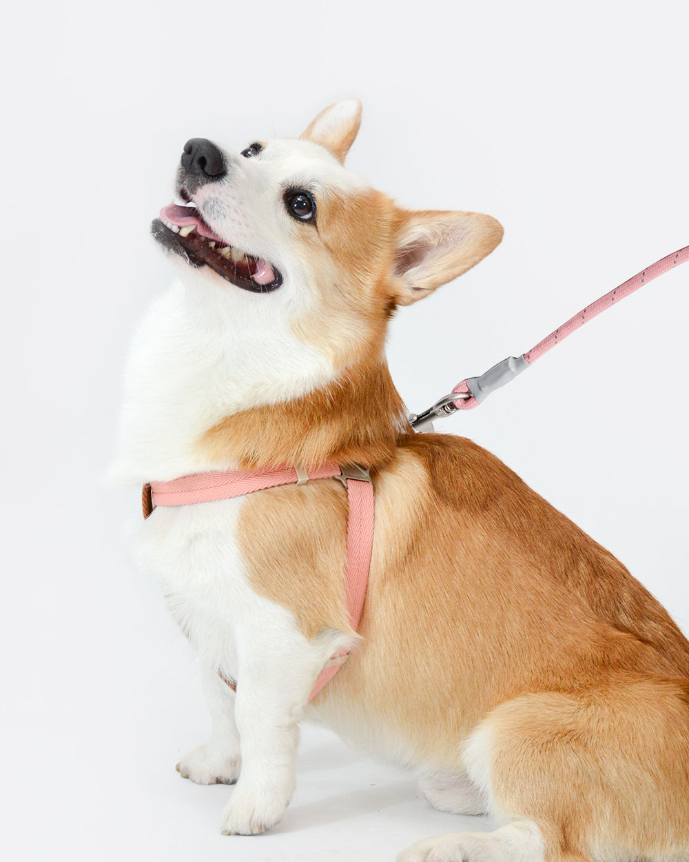 Soft Move Step-in Harness and Leash Set - Sika Deer
