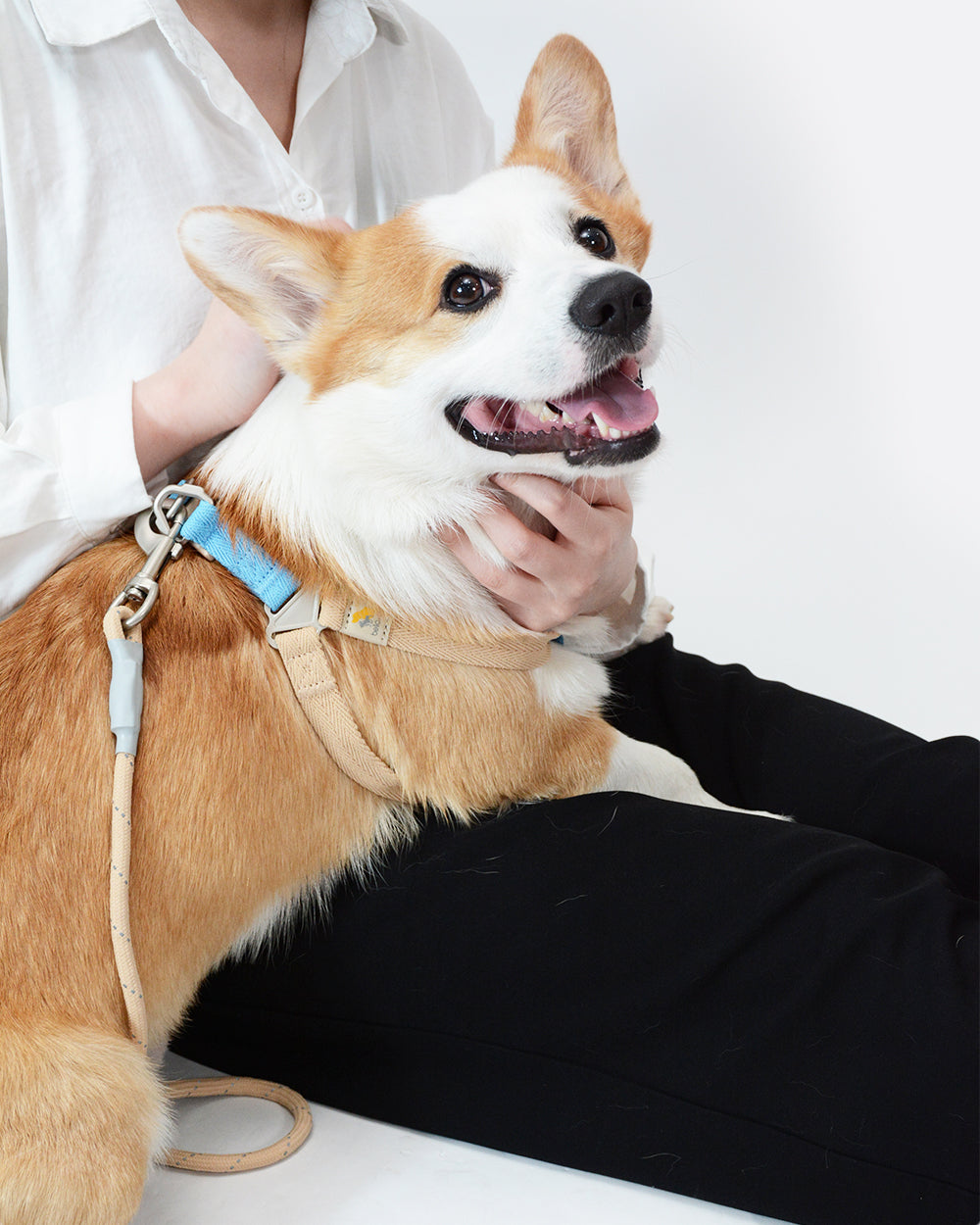Soft Move Step-in Harness and Leash Set - Sandbeach