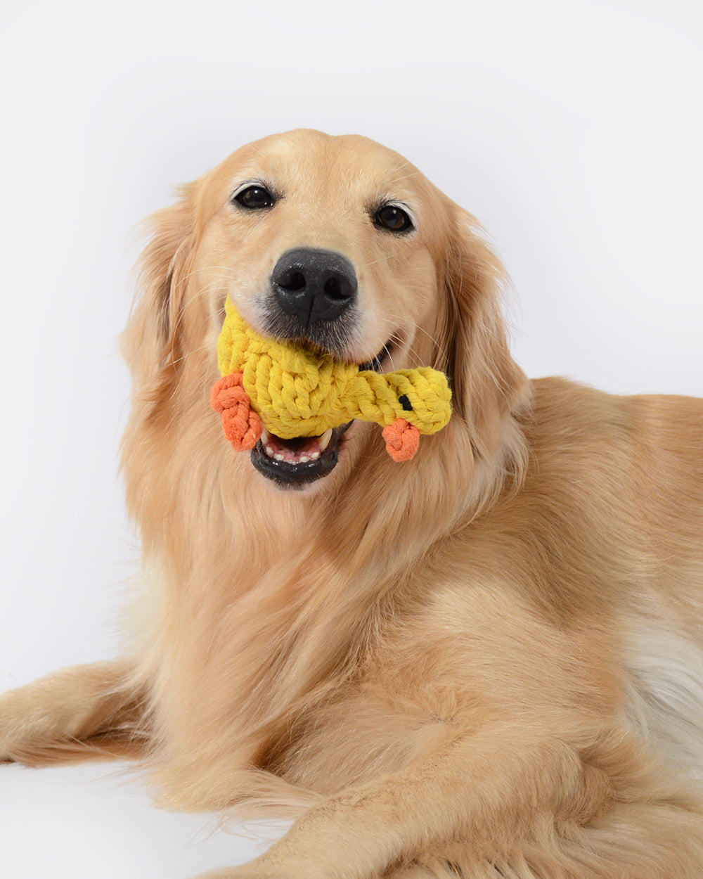 Animal Design Cotton Rope Dog Toy - Duck