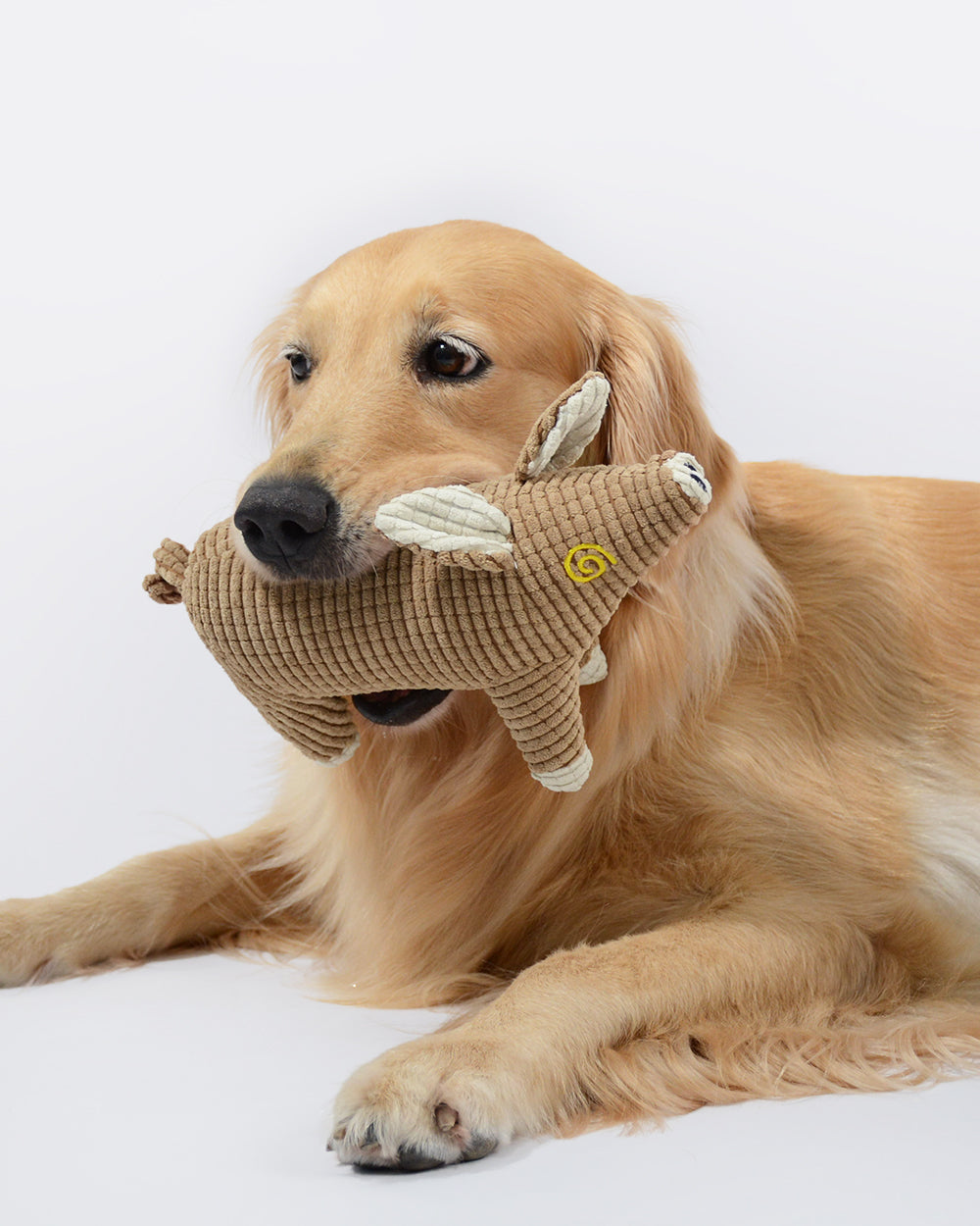 Plush Squeaky Dog Toy - Brown Pig