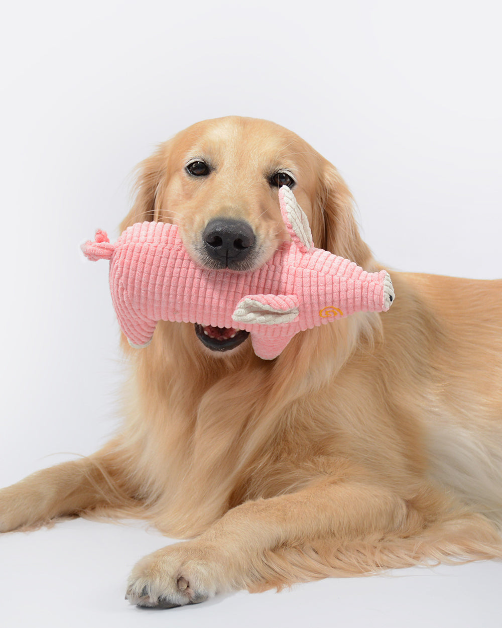 Plush Squeaky Dog Toy - Pink Pig