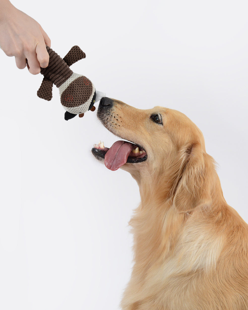 Plush Squeaky Dog Toy - Cow