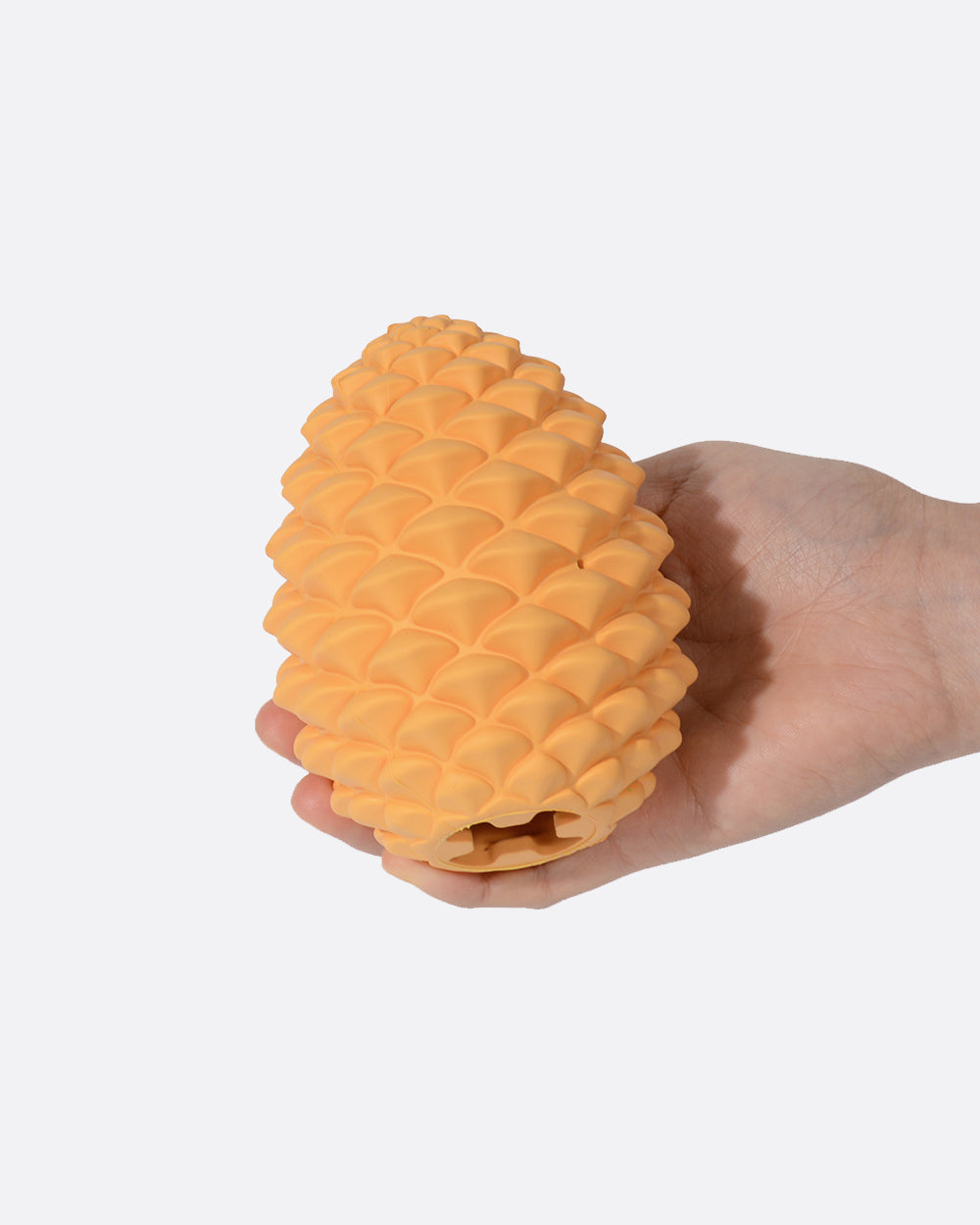 Treat Dispensing Dog Toy - Pine Cones