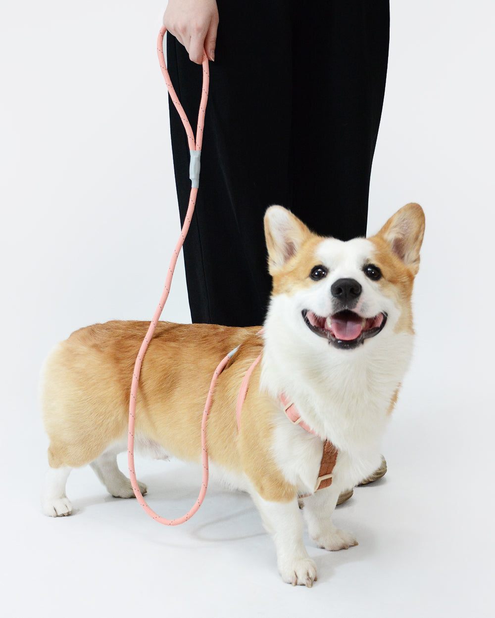 Reflective Rope Dog Leash - Sika Deer