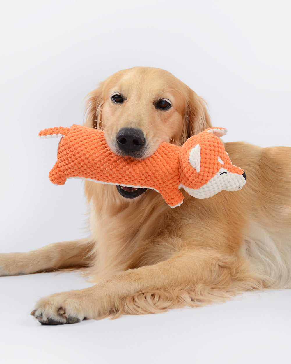 Plush Squeaky Dog Toy - Fox