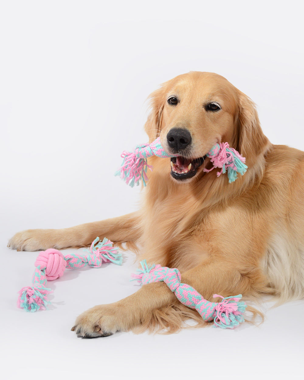 Squeaky Rope Toy Set - 3 Pack