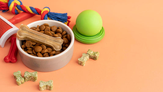 5 Easy Ways to Keep Your Dog's Teeth Clean