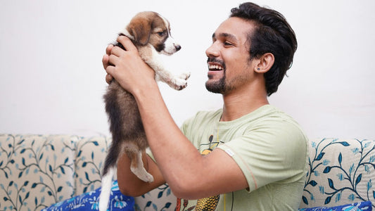 New Puppy Essentials: The Ultimate Starter Kit for Happy Pet Parenthood