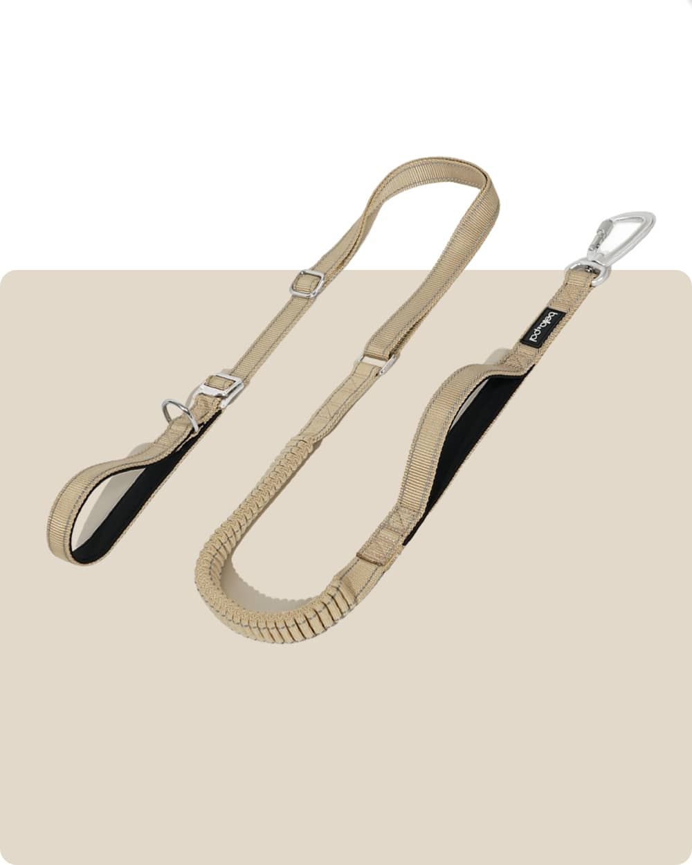 All-Metal Multifunctional Hands-Free Dog Leash - British Khaki