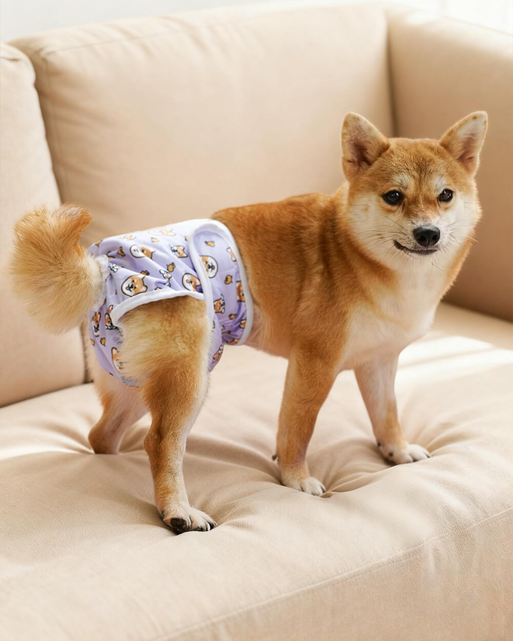 Bella & Pal × PJai & Friends Washable Female Dog Diaper Set - Puffy Friends