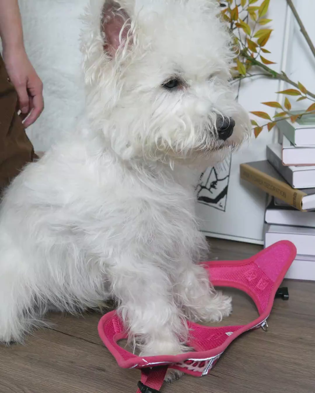 OxyMesh Velcro Step-in Harness Set - Phantom Pink Leopard