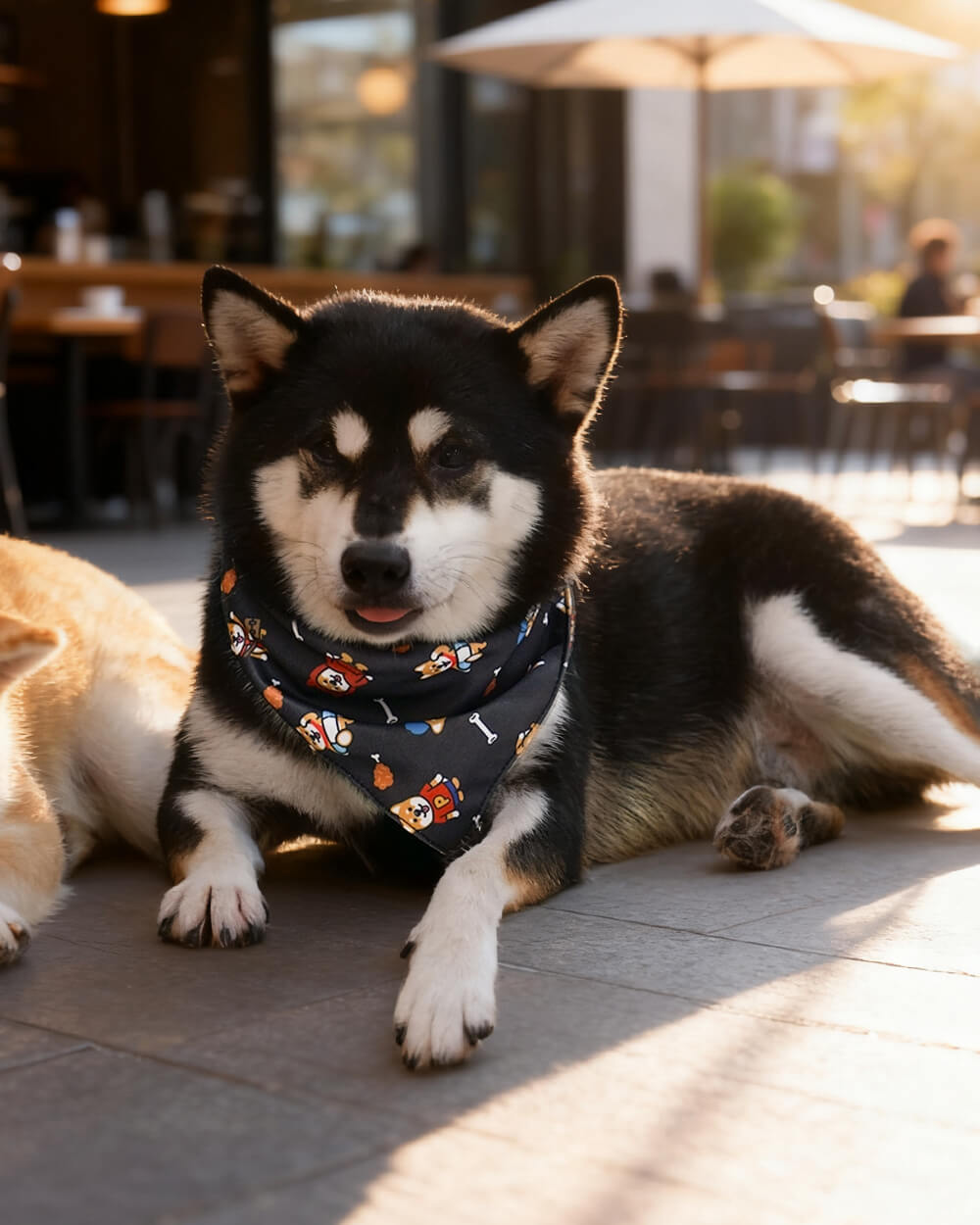 Bella & Pal × PJai & Friends Triangle Dog Bandana - Doki Shiba