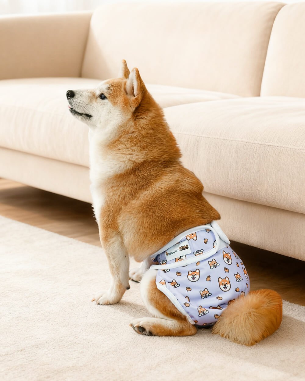 Bella & Pal × PJai & Friends Washable Female Dog Diaper Set - Puffy Friends